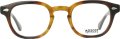 MOSCOT/モスコット【LEMTOSH】TOBACCO 46サイズ