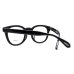 画像4: OLIVER PEOPLES/オリバー ピープルズ【OV5036A Sheldrake 】1492 47サイズ (4)