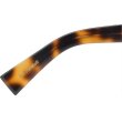 画像7: OlIver Goldsmith/オリバー ゴールドスミス【COMMANDER】Tortoiseshell 52サイズ (7)