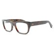 画像2: Oliver Goldsmith/オリバー ゴールドスミス【CONSUL50】Dark Tortoiseshell 50サイズ (2)