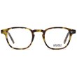 画像1: MOSCOT/モスコット【GENUG】SPOT TORT/GOLD 47サイズ (1)