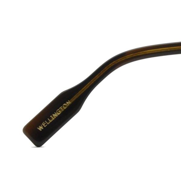 画像7: 蒲池眼鏡舗オリジナル【WELLINGTON】 brown 48サイズ (7)